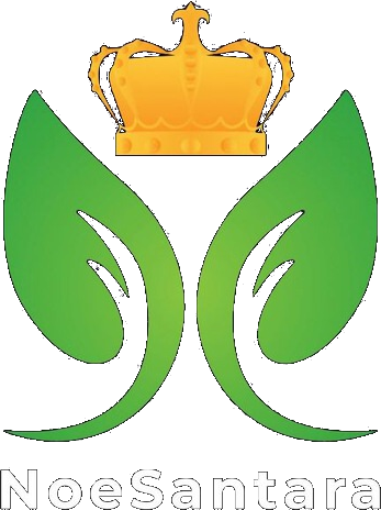 NoeSantara Logo