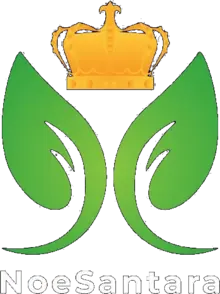 PT Rumah Sehat Noesantara Logo